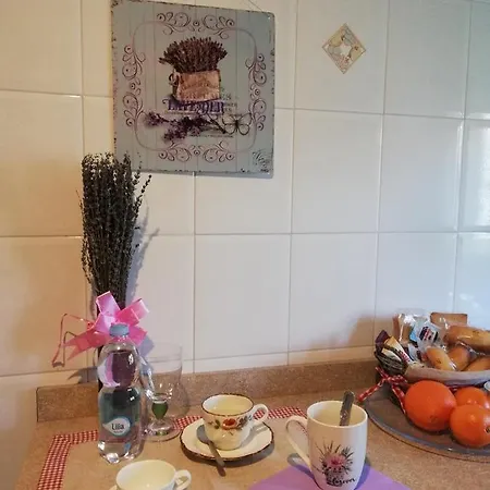 La Maison Des Livres Appartement *